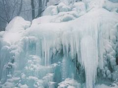 -鲁山国家森林公园