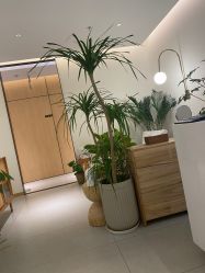 -程Studio
