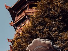 -厦门园林博览苑