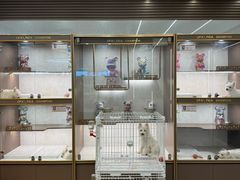 -翊宠yipet猫狗购宠庄园犬舍•猫舍