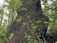 -峡谷浮石林景区