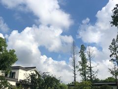 -杭州西湖柳莺里酒店
