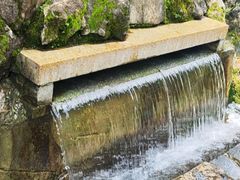 -阿哈湖国家湿地公园