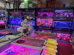 -三旗百汇商品城