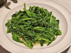 -许家菜(DT51店)