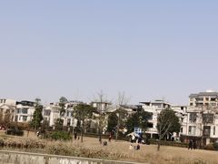 -两河城市森林公园