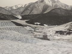 -山丹皇家马场