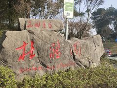 -铁山坪森林公园