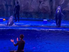 -华夏文旅西安度假区