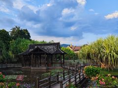 -中国科学院西双版纳热带植物园