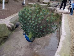 -张钰强中医正骨推拿连锁(唐家人才公寓店)