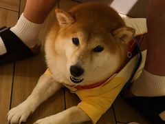 -有才叔的小馆(高新咖啡街区店)