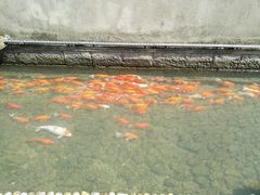 -前童古镇