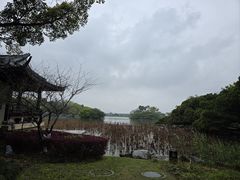 -江心屿景区