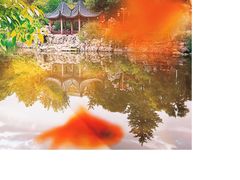 -郑和公园