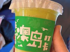 -南澳岛打卡果汁冰公司