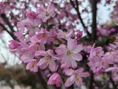 -金典银峰老鹅馆·昆山菜(亭林公园店)