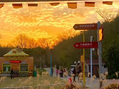 -红山体育乐园