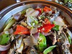 -将军关探险漂流