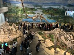 -自贡恐龙博物馆