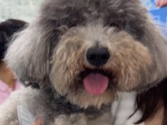 -爱侣宠医·鹦鹉专科·小型哺乳类·异宠专科(灵石路店)