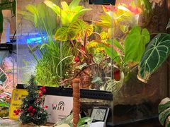 -Rabbit Cafe私房西餐甜点咖啡(栖霞路店)