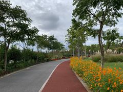 -上海长兴岛郊野公园