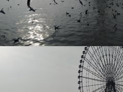 -蠡湖大桥公园