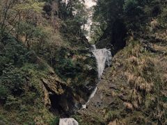 -石台牯牛降景区