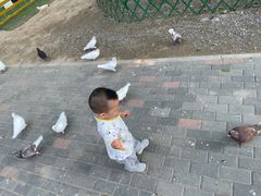 -1982农场