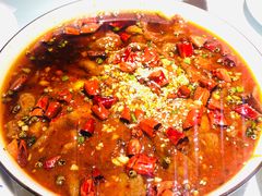 -雲蜀龙阁·金牌水煮鱼(方庄店)