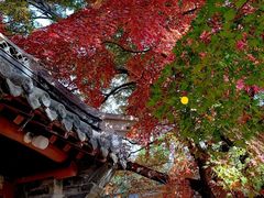 -青岛崂山太清宫