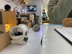 -喵园·猫主题咖啡厅·撸猫·猫咖(国贸店)