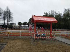 -太阳岛度假酒店