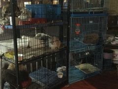 -赢吧Bliss音乐酒吧