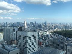 景点-东京都厅舍