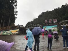 -台北101
