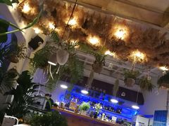 -春树下·树屋花房西餐厅(罍街AS1980店)