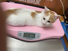 -宠福鑫动物医院·动物疾病诊疗中心(天通苑店)