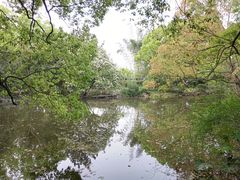-上海植物园·停车场