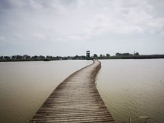 -盐城丹顶鹤湿地生态旅游区