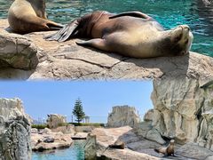 -香港海洋公园