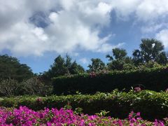 -三亚亚龙湾五号度假别墅酒店