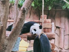 -泉州海丝野生动物世界