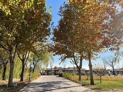 -安德鲁户外烧烤帐篷营地(马泉营店)