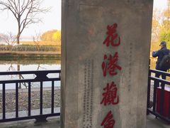 -西湖外事游船(花港观鱼码头)