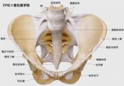 -斐然普拉提&梵歌瑜伽
