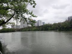 -浮庄