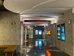 -百美汇影城(LUXE嘉里中心店)