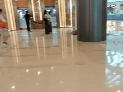 -港汇恒隆广场